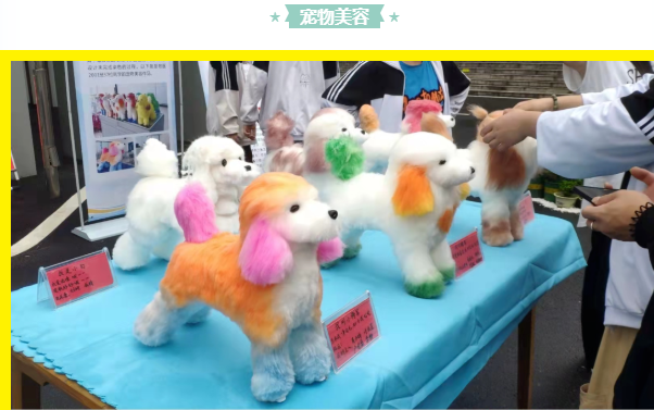 圖片1.png
