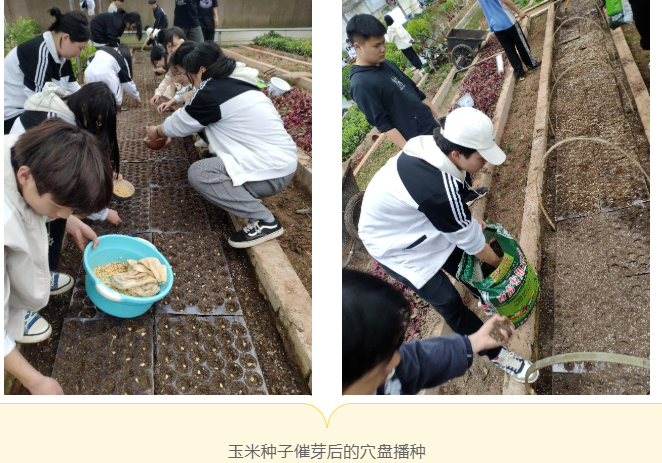 圖片3.png