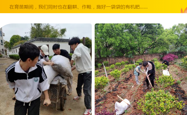 圖片4.png