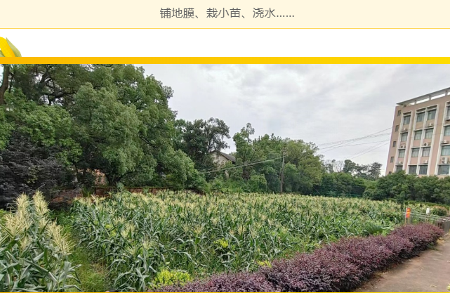 圖片5.png