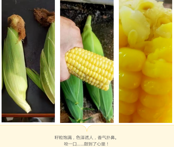 圖片6.png